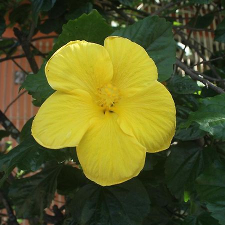 Bed and Breakfast Ubatuba Surf Spot Exterior foto